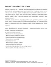 Darbo apmokėjimo sistemos 17 puslapis