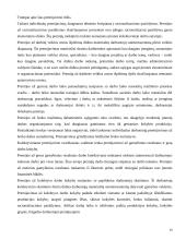 Darbo apmokėjimo sistemos 18 puslapis