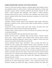 Darbo apmokėjimo sistemos 20 puslapis