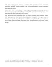 Darbo apmokėjimo sistemos 3 puslapis