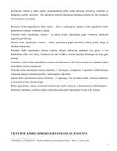 Darbo apmokėjimo sistemos 5 puslapis