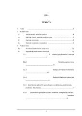 Darbo biržų vaidmuo sprendžiant nedarbo problemas 2 puslapis