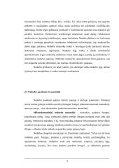 Darbo biržų vaidmuo sprendžiant nedarbo problemas 9 puslapis