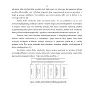 Darbo įvertinimo ir apmokėjimo už darbą ryšio nustatymas UAB "Amžinasis judėjimas" kavinėje "Pakeliui" 11 puslapis