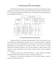 Darbo įvertinimo ir apmokėjimo už darbą ryšio nustatymas UAB "Amžinasis judėjimas" kavinėje "Pakeliui" 12 puslapis