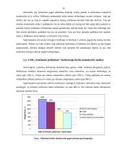 Darbo įvertinimo ir apmokėjimo už darbą ryšio nustatymas UAB "Amžinasis judėjimas" kavinėje "Pakeliui" 16 puslapis