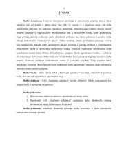 Darbo įvertinimo ir apmokėjimo už darbą ryšio nustatymas UAB "Amžinasis judėjimas" kavinėje "Pakeliui" 4 puslapis