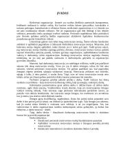Darbo motyvacija organizacijoje 2 puslapis