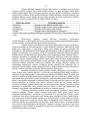 Darbo motyvacija organizacijoje 12 puslapis