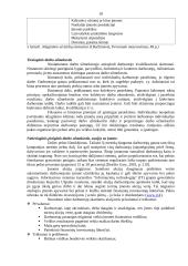 Darbo motyvacija organizacijoje 19 puslapis