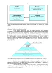 Darbo motyvacija organizacijoje 9 puslapis