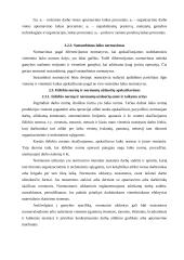 Darbo normavimo esmė ir jo taikymas 11 puslapis