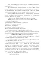Darbo normavimo esmė ir jo taikymas 10 puslapis