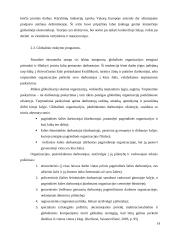 Darbo rinkos vaidmuo tolydžios ekonomikos sąlygomis 13 puslapis
