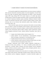 Darbo rinkos vaidmuo tolydžios ekonomikos sąlygomis 3 puslapis