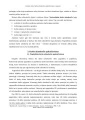 Darbo užmokesčio apskaičiavimas ir apskaita 13 puslapis