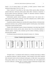 Darbo užmokesčio apskaičiavimas ir apskaita 5 puslapis