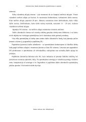 Darbo užmokesčio apskaičiavimas ir apskaita 9 puslapis