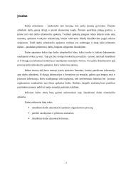 Darbo užmokesčio apskaita: investicinė bendrovė 3 puslapis