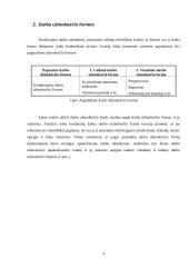 Darbo užmokesčio apskaita: investicinė bendrovė 5 puslapis