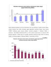 Darbo užmokesčio dinamika Lietuvoje 19 puslapis