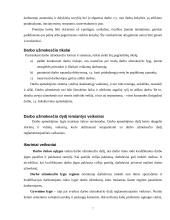 Darbo užmokesčio dinamika Lietuvoje 7 puslapis