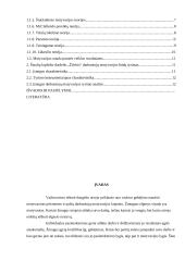 Darbuotojų motyvavimas Šiaulių lopšelyje-darželyje "Žilvitis" 2 puslapis