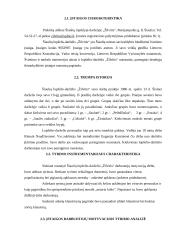 Darbuotojų motyvavimas Šiaulių lopšelyje-darželyje "Žilvitis" 11 puslapis