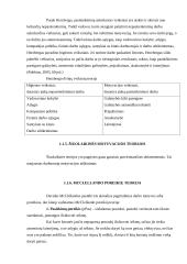 Darbuotojų motyvavimas Šiaulių lopšelyje-darželyje "Žilvitis" 7 puslapis