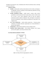 Darbuotojų paklausos tendencijos Šiaulių mieste 11 puslapis