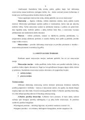Darbuotojų skatinimo priemonių taikymas viešbutyje "Narutis" 6 puslapis