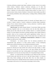 Darbuotojų skatinimo priemonių taikymas viešbutyje "Narutis" 8 puslapis