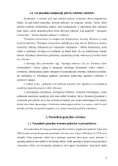 Didžiausios Europos Sąjungos (ES) kompanijos 4 puslapis