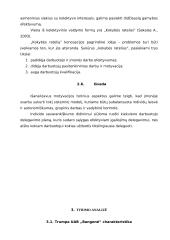 Dirbančiųjų motyvacijos sistema: UAB "Bangelė" 19 puslapis