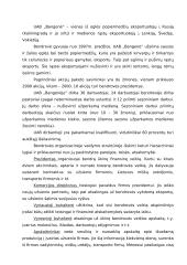 Dirbančiųjų motyvacijos sistema: UAB "Bangelė" 20 puslapis