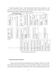 Dirvožemio ištekliaus naudojimo valdymas 17 puslapis