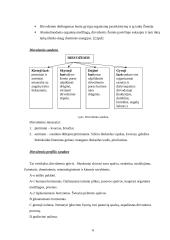 Dirvožemio ištekliaus naudojimo valdymas 6 puslapis