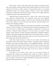 Dorinio ugdymo ikimokykliniame amžiuje ypatumai 13 puslapis