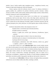 Dorinio ugdymo ikimokykliniame amžiuje ypatumai 8 puslapis