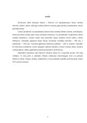 Dotnuvos miesto lietaus nuotakyno projektavimas, įvertinant smarkias liūtis 3 puslapis