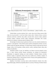 Dotnuvos miesto lietaus nuotakyno projektavimas, įvertinant smarkias liūtis 5 puslapis