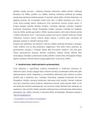 E-demokratija ir jos formos 11 puslapis