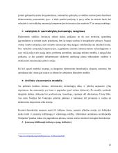 E-demokratija ir jos formos 12 puslapis