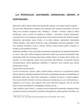 E-demokratija ir jos formos 14 puslapis