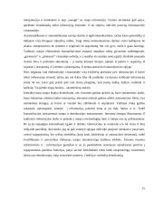 E-demokratija ir jos formos 15 puslapis