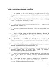 E-demokratija ir jos formos 17 puslapis
