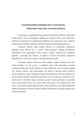 E–komercijos vystymosi tendencijos ir galimybės 11 puslapis