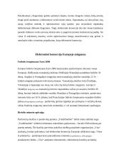 E–komercijos vystymosi tendencijos ir galimybės 13 puslapis