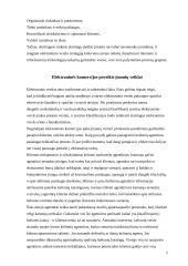 E–komercijos vystymosi tendencijos ir galimybės 9 puslapis
