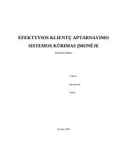 Efektyvios klientų aptarnavimo sistemos kūrimas įmonėje 1 puslapis